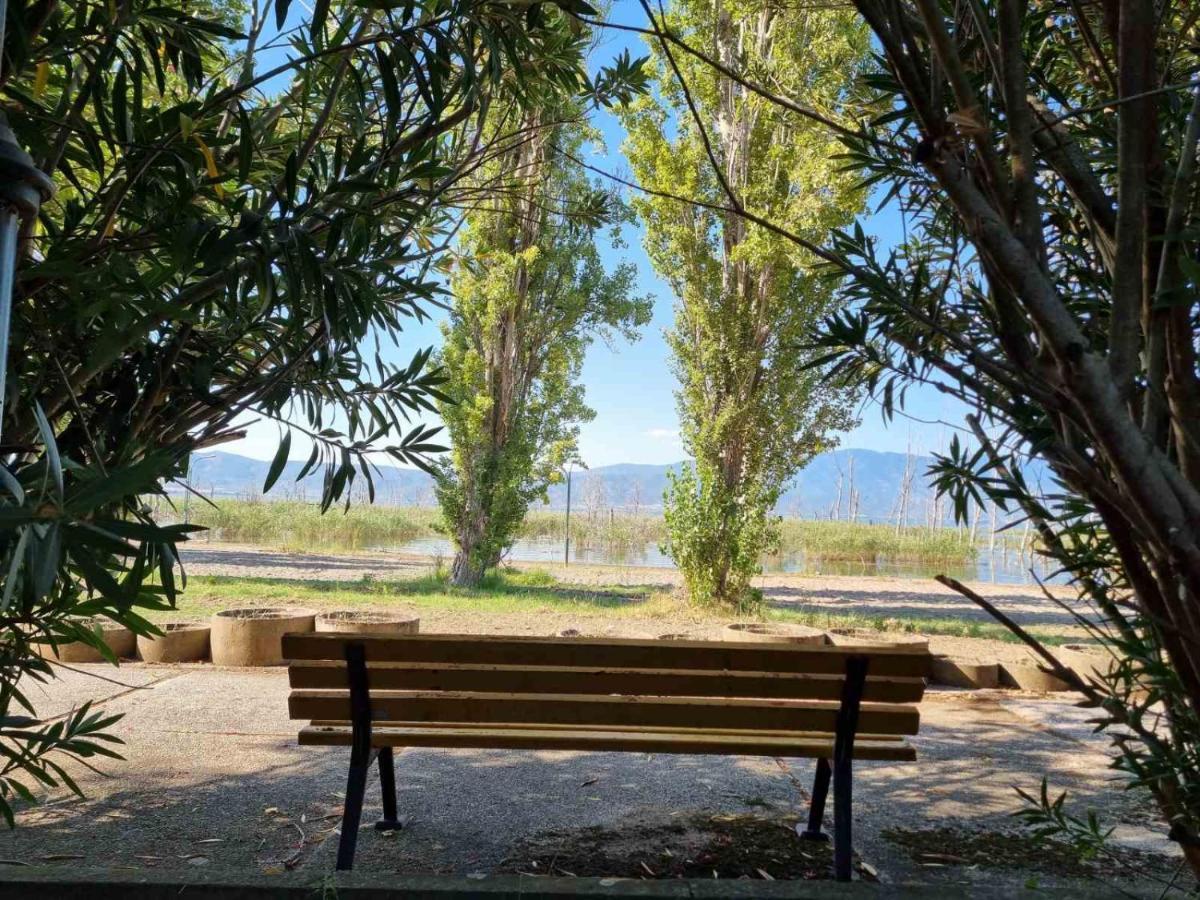 Fuk-tak's Dojran